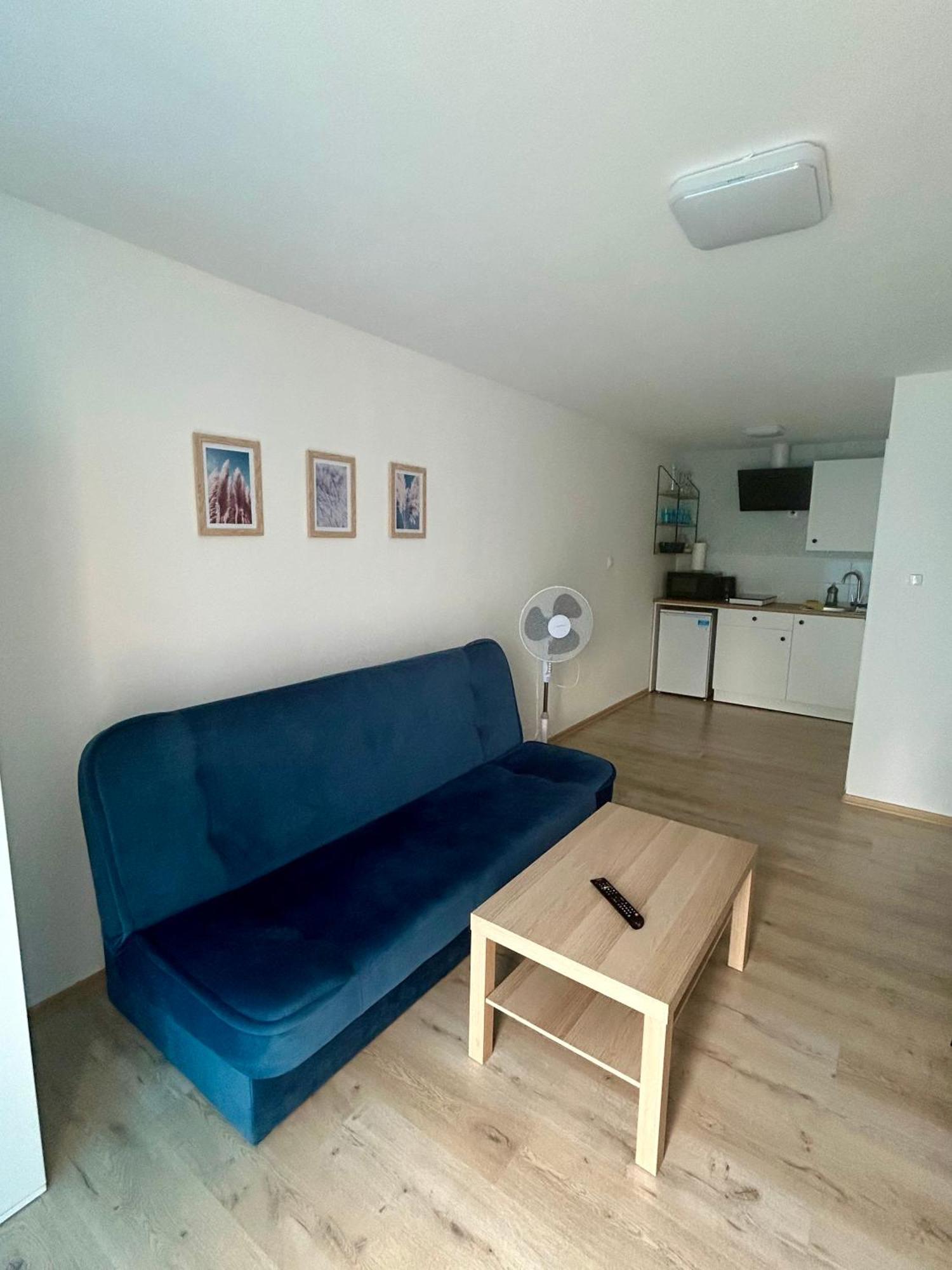 Apartamenty W Radawce Radawka エクステリア 写真